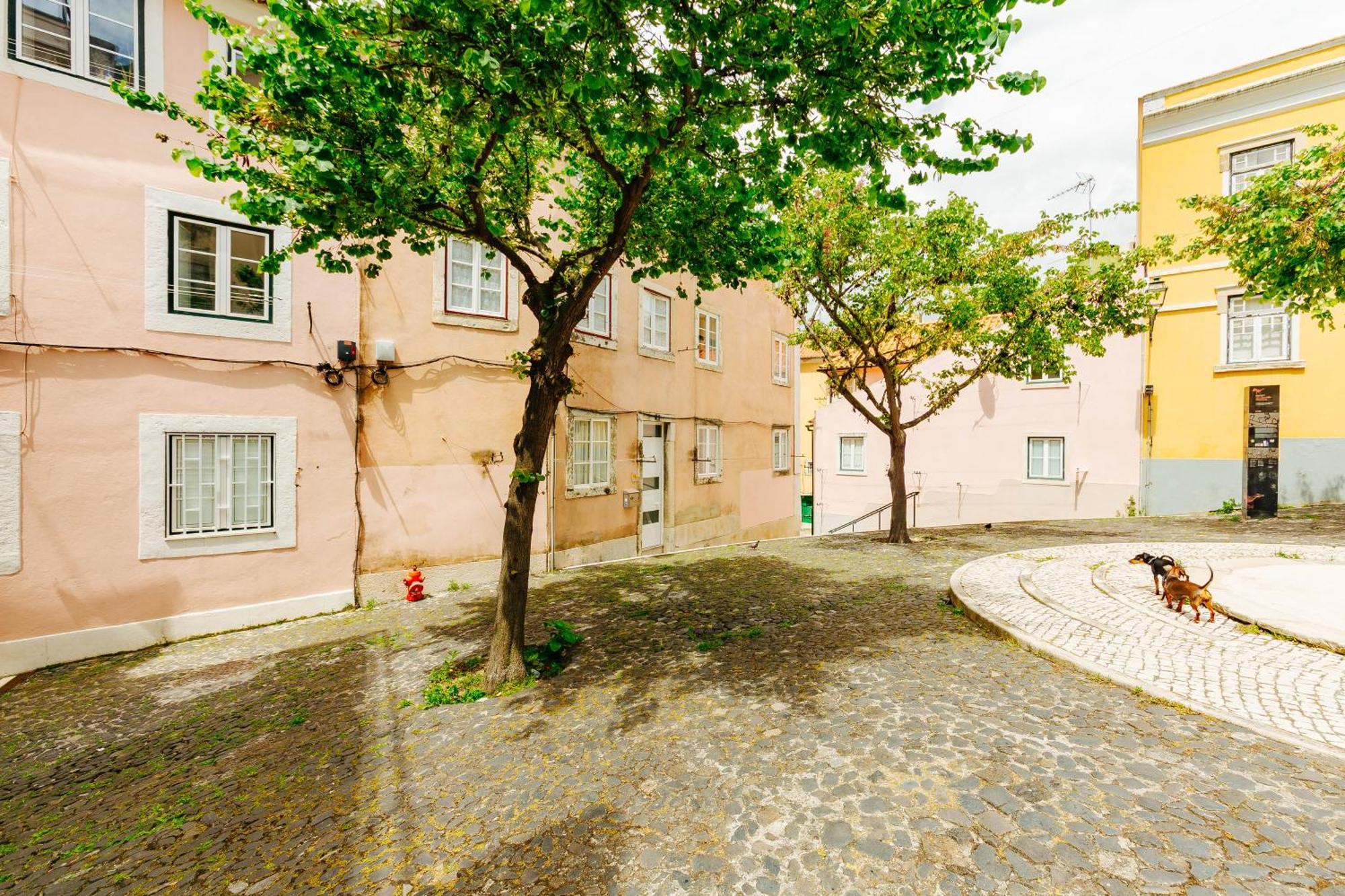 Rent4Rest Lisbon Downtown Tiny Studio Apartments Exteriér fotografie